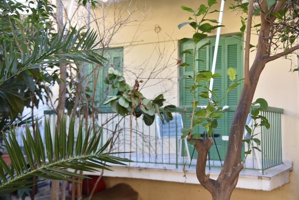 Tiny Treasure Apartment Atenas Exterior foto